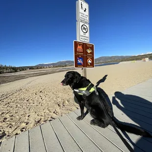 Just a few blocks from the marina if you're up for a walk