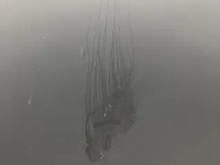 Premier Waste Solutions