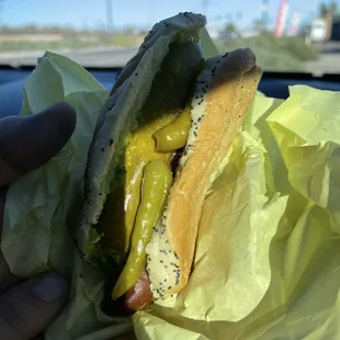 Fire Dog with mustard, relish, pickle, pepper and celery salt