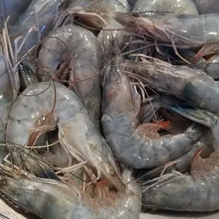 oysters and mussels, oysters, mussels, shellfish, food