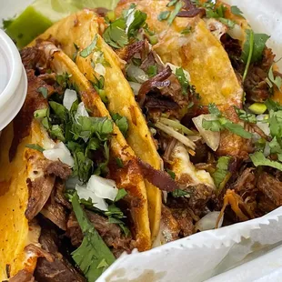 Tacos de carnitas