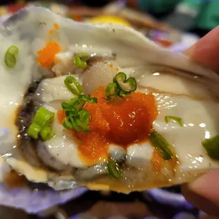 oysters, mussels, food, oysters and mussels, shellfish