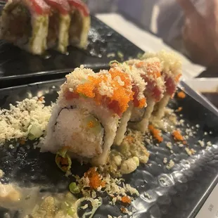 Hikari Express Roll