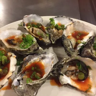 Raw Oysters