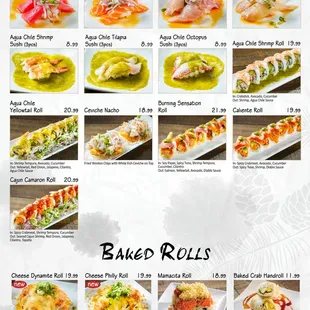 sushi and sashimi