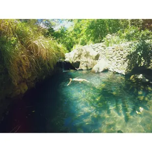 They know all the secluded spots! We were the only humans there to indulge in this ice pond!