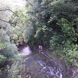 I rappelled a waterfall in the rainforest!!!! Epic!