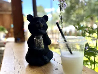 Bearly Awake