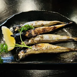 Grilled Fish - Shishamo
