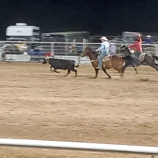 Amazing rodeo.