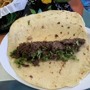 Barbacoa taco with extra Large tortilla.