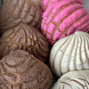 CONCHAS!