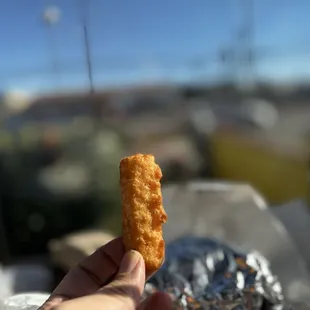 Cheese stick close up