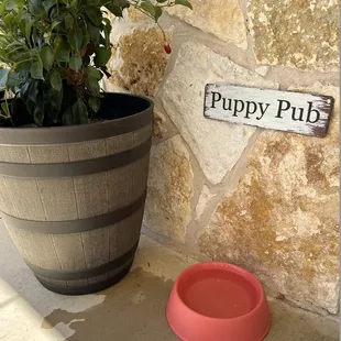 Dogs Welcome on the Patio