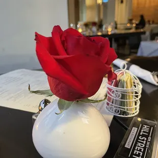 A small but lively rose