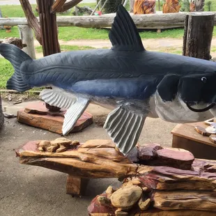 1/17/16. Sunday afternoon drive with no clear agenda leads us here. The coolest place on Planet Earth. Maybe? Gloriously carved Catfish!