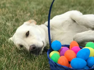 Winfield Recreation Commission