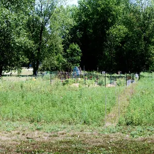 Community garden.