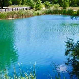 Rustic pond.