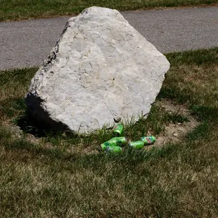 Liter! Of were they shooting mountain dew?