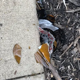 Broken glass in pool area.