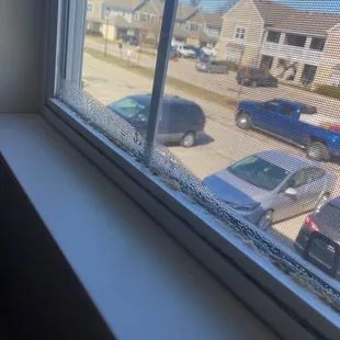 Poor window sealing now producing mold