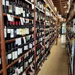 rows of wine bottles