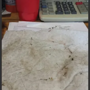 This is the picture of the "massive" amounts of hair that was sent to us as proof