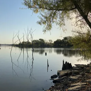 Shoreline near my campsite