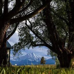 Sangre De Cristo mountains through the Black Willow Vale