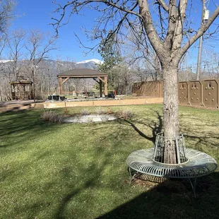 Concert area facing the gazebo. Good for relaxing and watching the show.