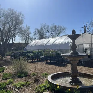 Garden center and out side display of perennials!