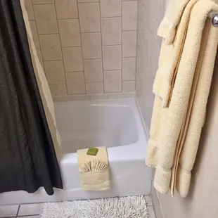 Queen Bed Jacuzzi Suite Bathroom, VERY CLEAN!