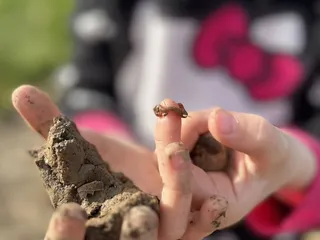 Treelake Village Park