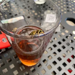 a glass of beer with a wasp on it