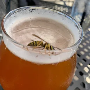 a glass of beer with a wasp crawling on it