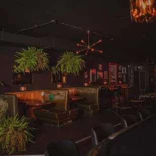 Historic Neighborhood Bar in Strawberry Hill, a hidden gem with live music, trivia, DJ's, karaoke, and a really laid back speakeasy vibe!