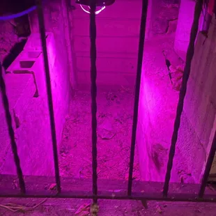 a purple light in a concrete pit