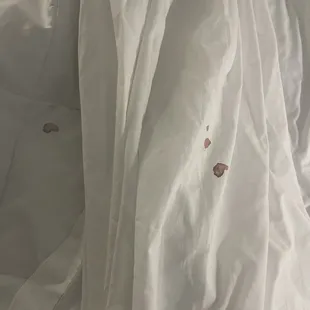 Blood on the sheets and comforter