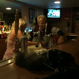 On draft: busch, high life, coors light. Enjoy.