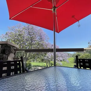 View of the golf course