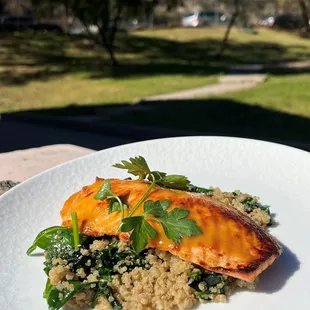 grilled seafood, grilled fish, seafood, fish, food