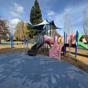 Toddler Jungle Gym