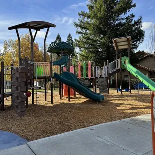 Big Kid Jungle Gym