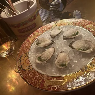 Composed Oysters Lime Granita | Verjus | Basil Oil