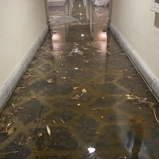 This is the flooded hallway!