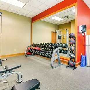 Health club  fitness center  gym