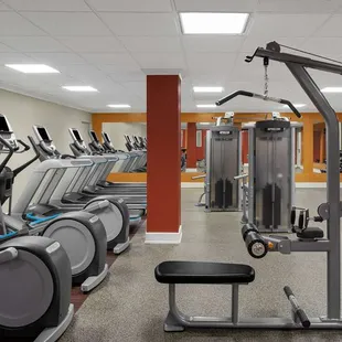 Health club  fitness center  gym