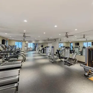 Health club  fitness center  gym