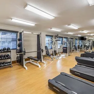 Health club  fitness center  gym